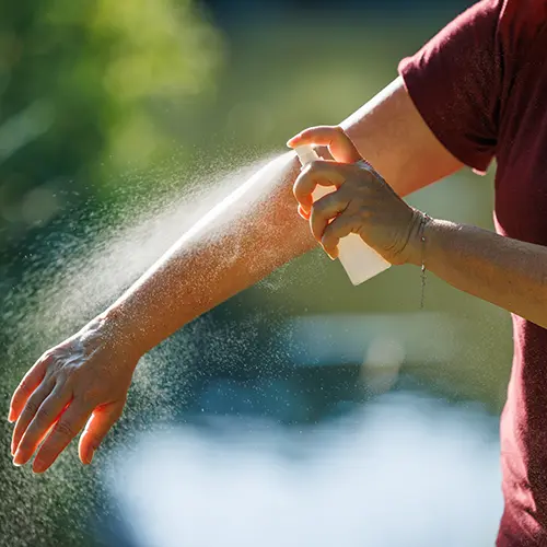 Mosquito Control Services by Medic Lawn Serving Tampa Bay