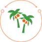 Palm Tree Care Services for Tampa Bay by Medic Lawncare Services